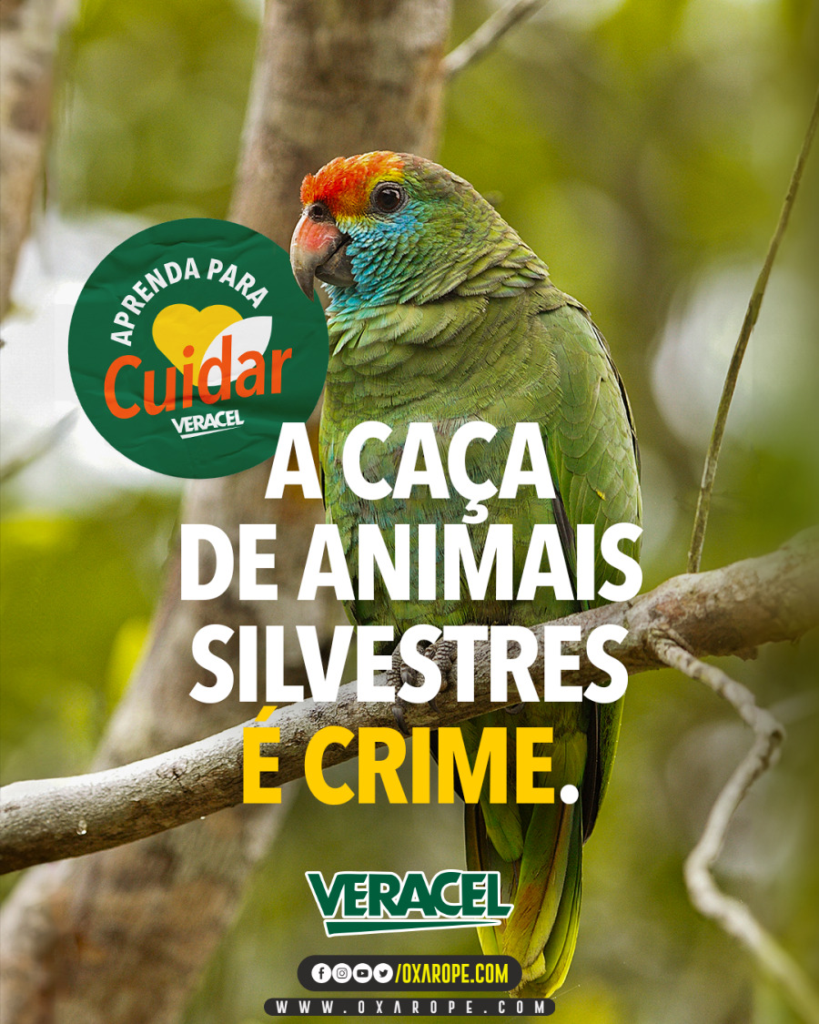 A ação trata da importância do combate à caça e ao problema da presença de gado e outros animais em áreas de proteção ambiental