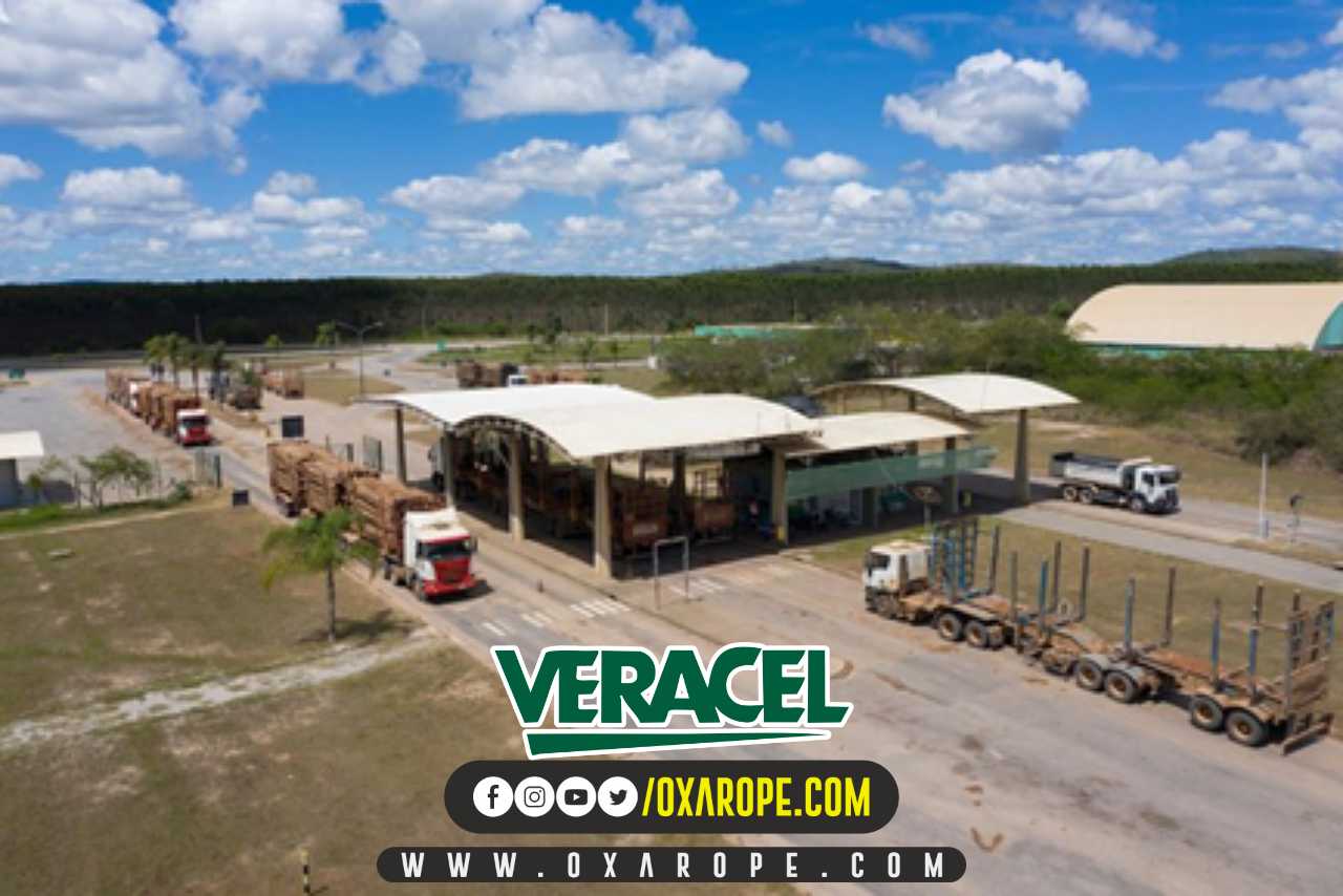 oxarope1noticia-29