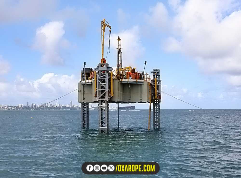 oXarope2110624noticia3