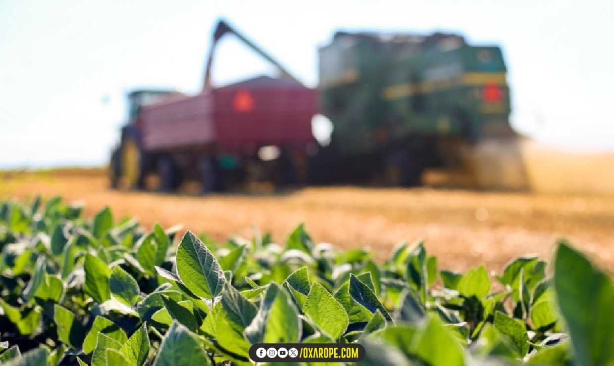 oXarope1201024agro