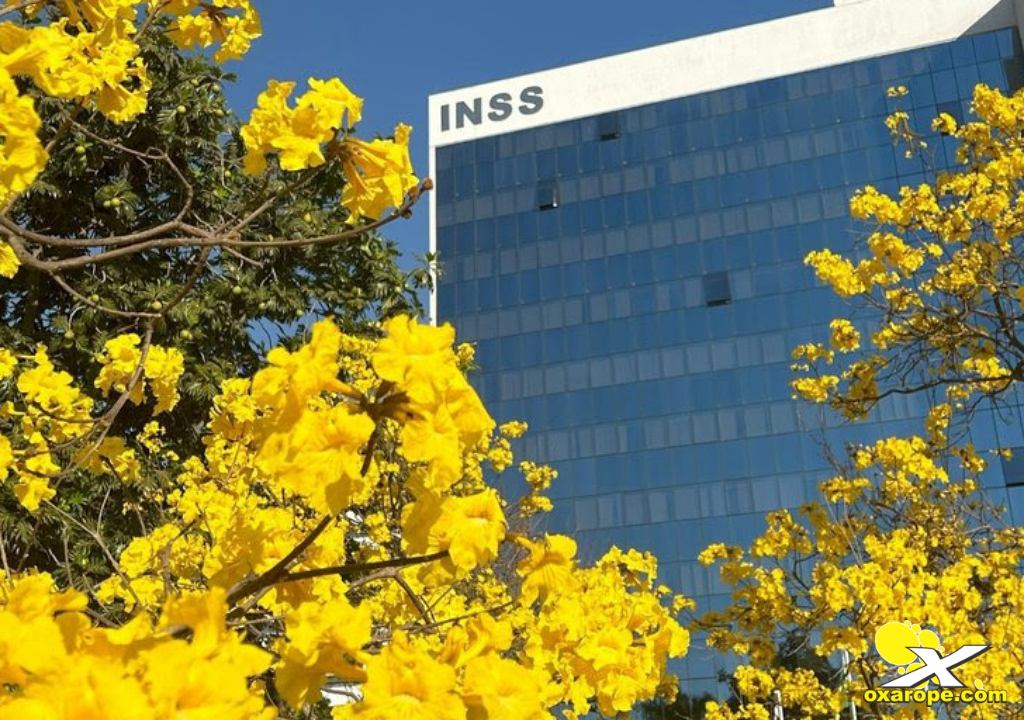 Noticia oXarope 18072501inss