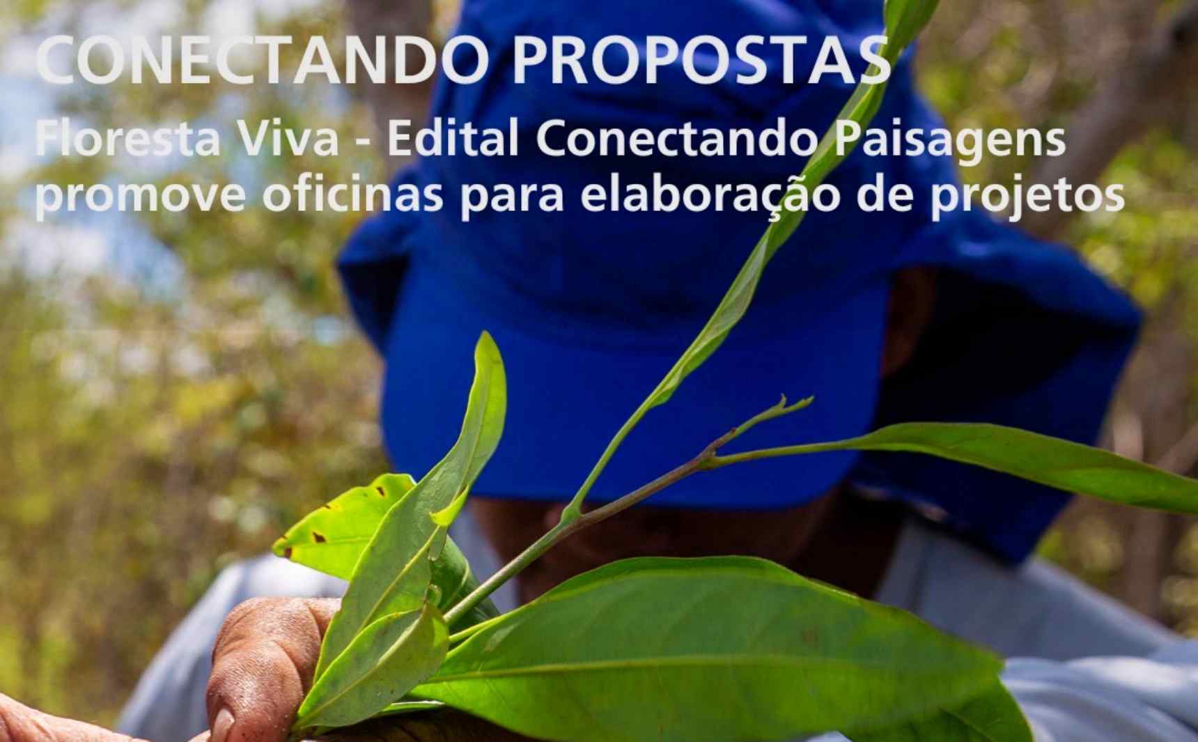 070825_noticia_iNovaland_capa