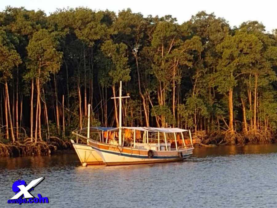 Noticia oXarope08ascomportoseguro