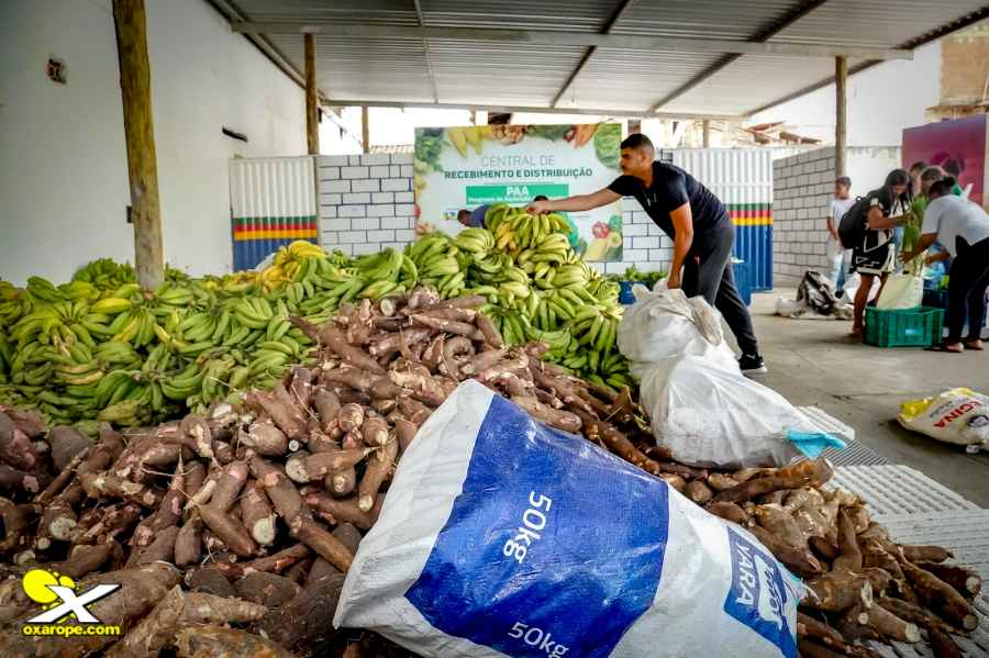 Noticia oXarope 18032026_5_ascomportoseguro3