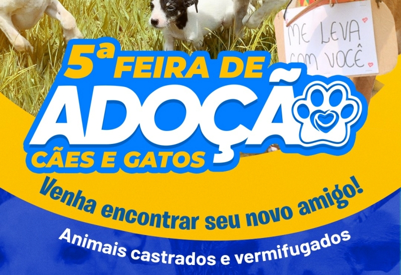 160426_5ª feira de adoção_1
