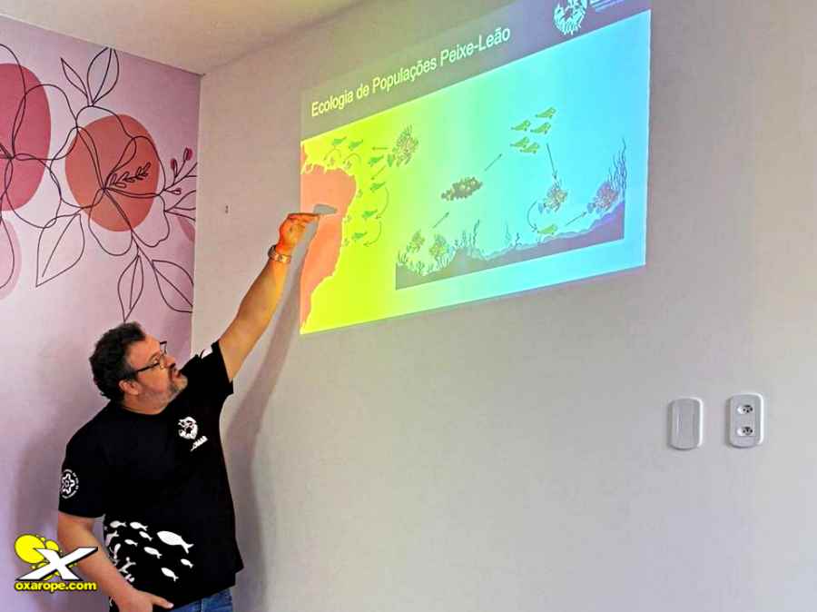 Noticia oXarope_140426_1ascomportoseguro_1 Noticia oXarope_140426_1ascomportoseguro_1