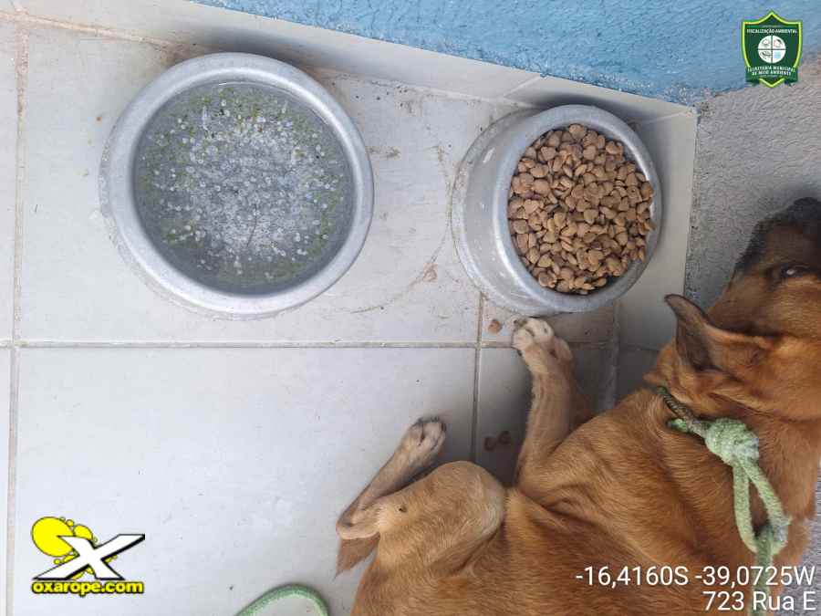 Noticia oXarope_AscomPMPortoSeguro1_23ABR26_4