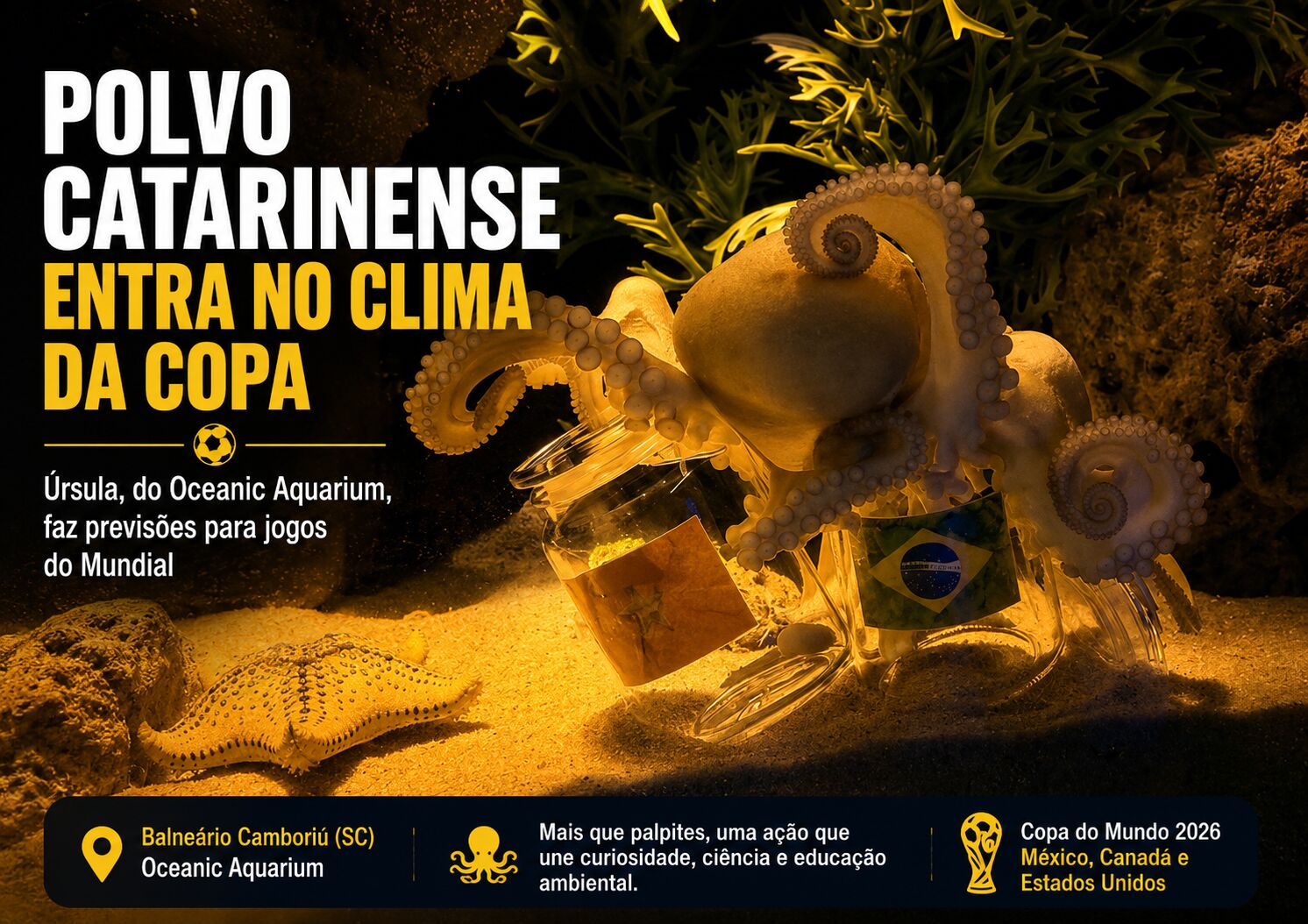 110526_polvocopa 110526_polvocopa