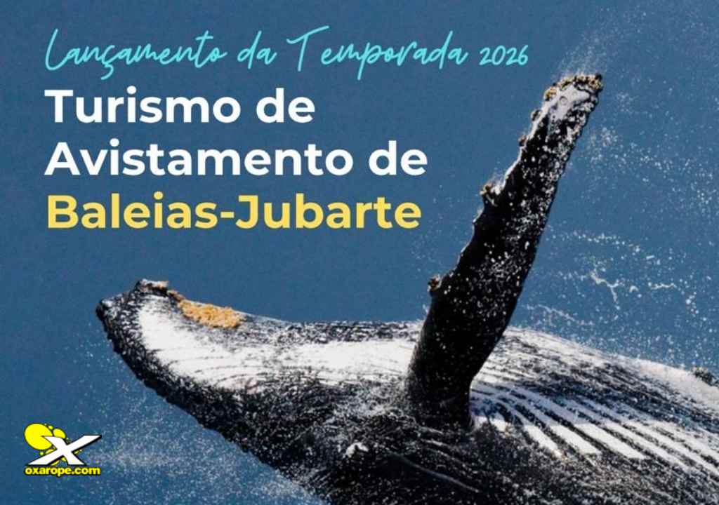 NoticiaOxarope10JUN261SeturBA_1